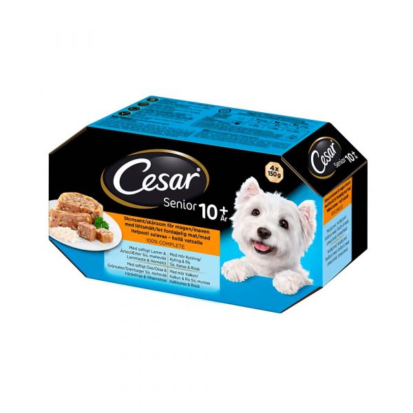 CESAR SENIOR 4*150g KANAA&RIISIÄ HYYTEL