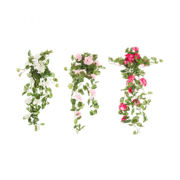 PELARGONIA RIIPUS  80CM