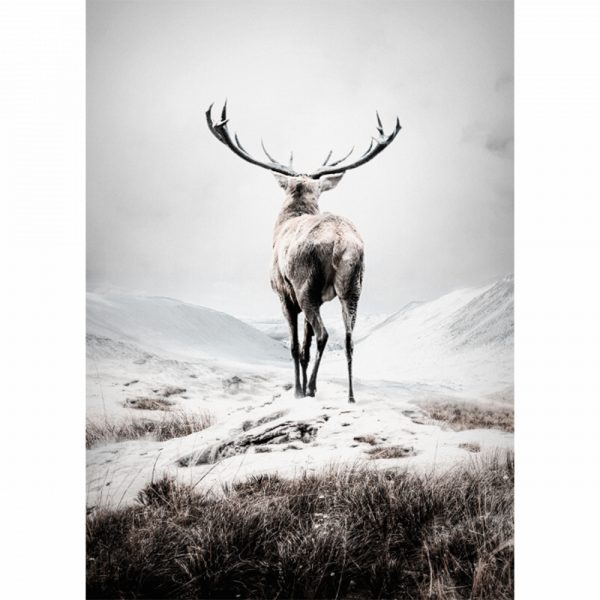 JULISTE 30X40CM    PEURA      (5.95)