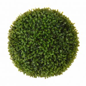 BUXUS VIHERPALLO   30cm