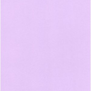 ASKARTELUKARTONKI  A4/10KPL V.LILA