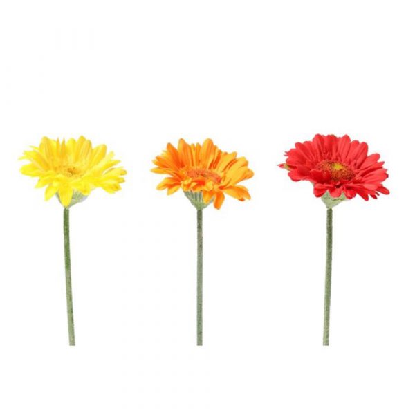 KORISTEOKSA 45cm   GERBERA