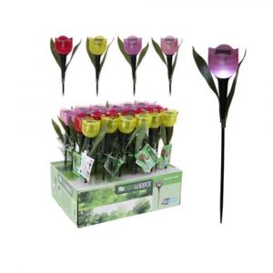 Solarvalo 30cm     tulppaani