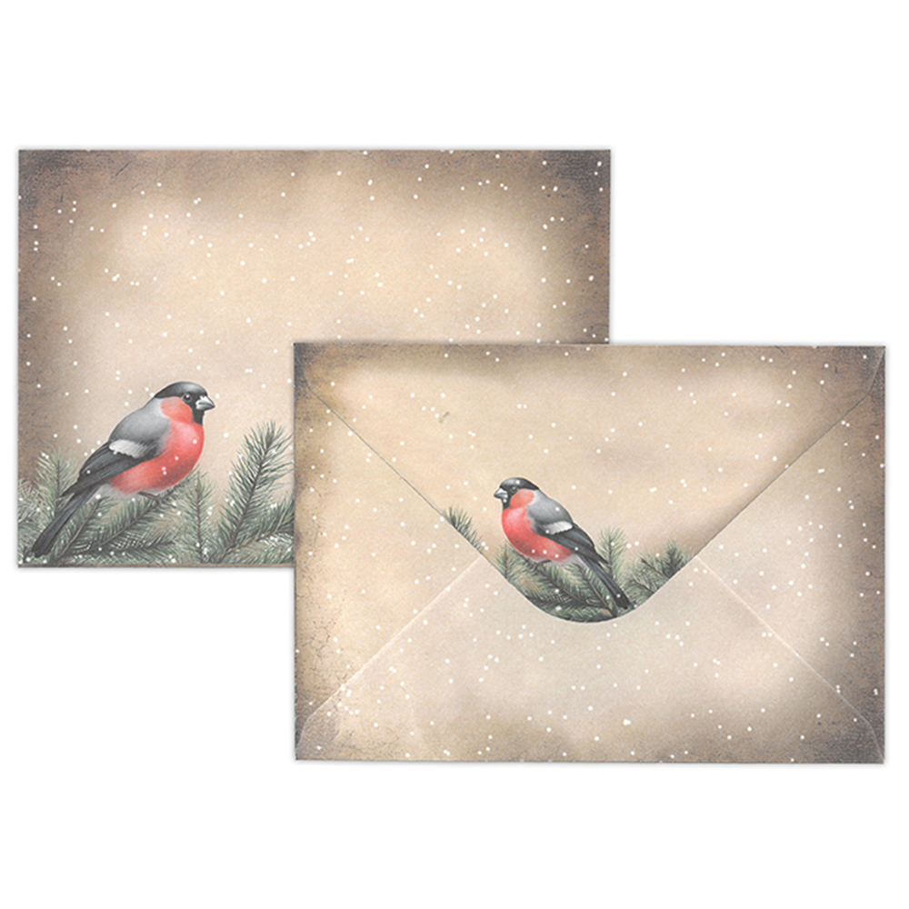 Kirjekuori C6 10kpl Punatulkku Vintage