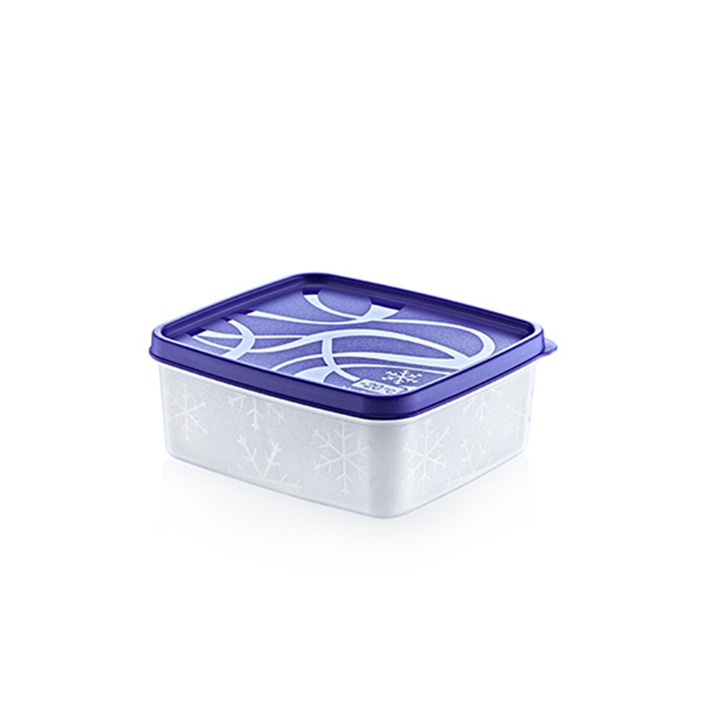 Säilytys/pakastus- rasia 650ml