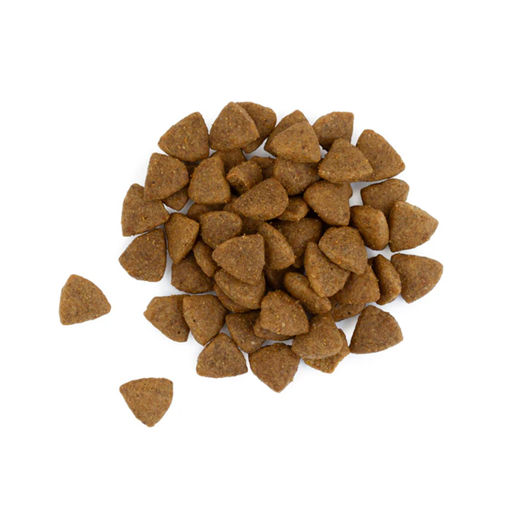 BF BILANX 700g senior kana BF BILANX 700g senior kana