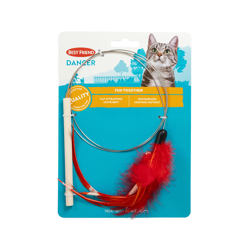 BF Dancer kissan   onkilelu